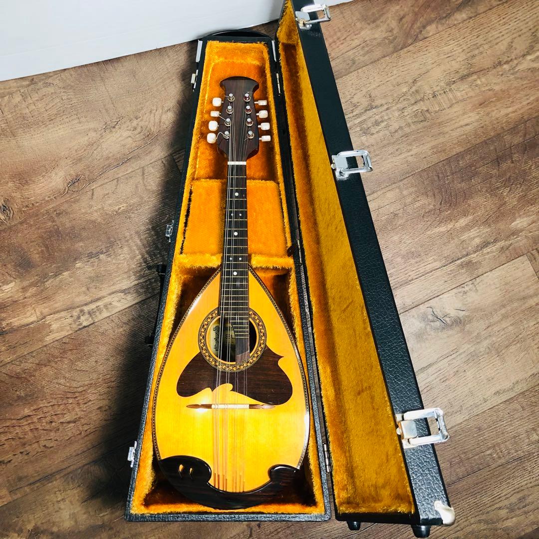 SUZUKI スズキ マンドリン M-218 ハードケース付