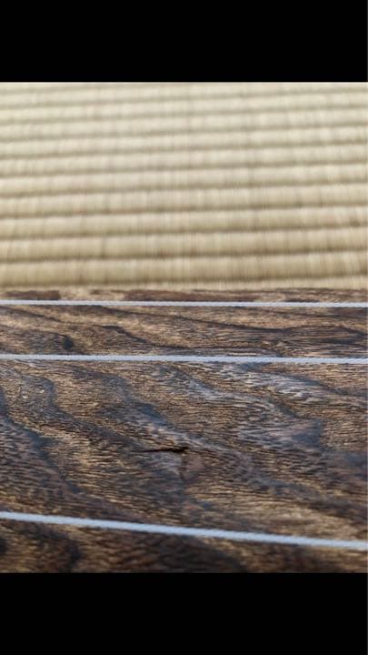 13弦高級お箏　発表会用　琴柱付き