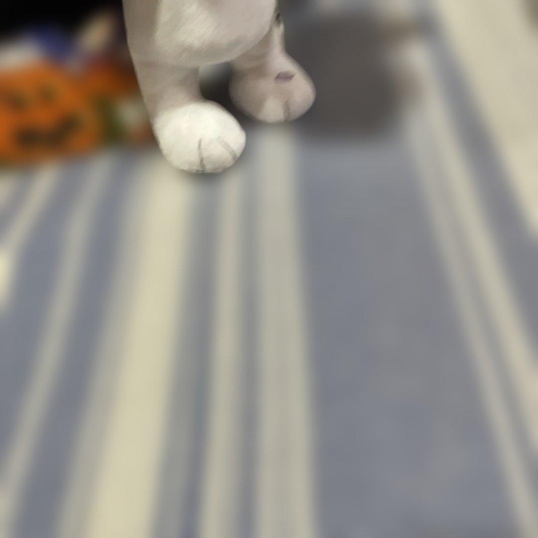 スヌーピー ダンス ハロウィン