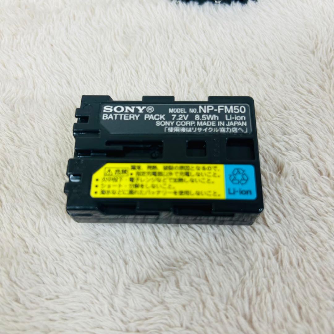 【美品】SONY DCR-PC101 デジタル ビデオカメラ 付属品あり