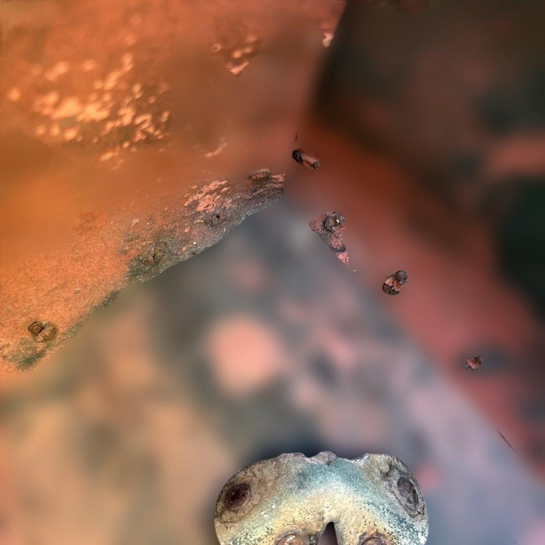 昭和レトロ　ぼて箱　ライオン歯磨　希少　ボテ箱　道具入れ　ビンテージ