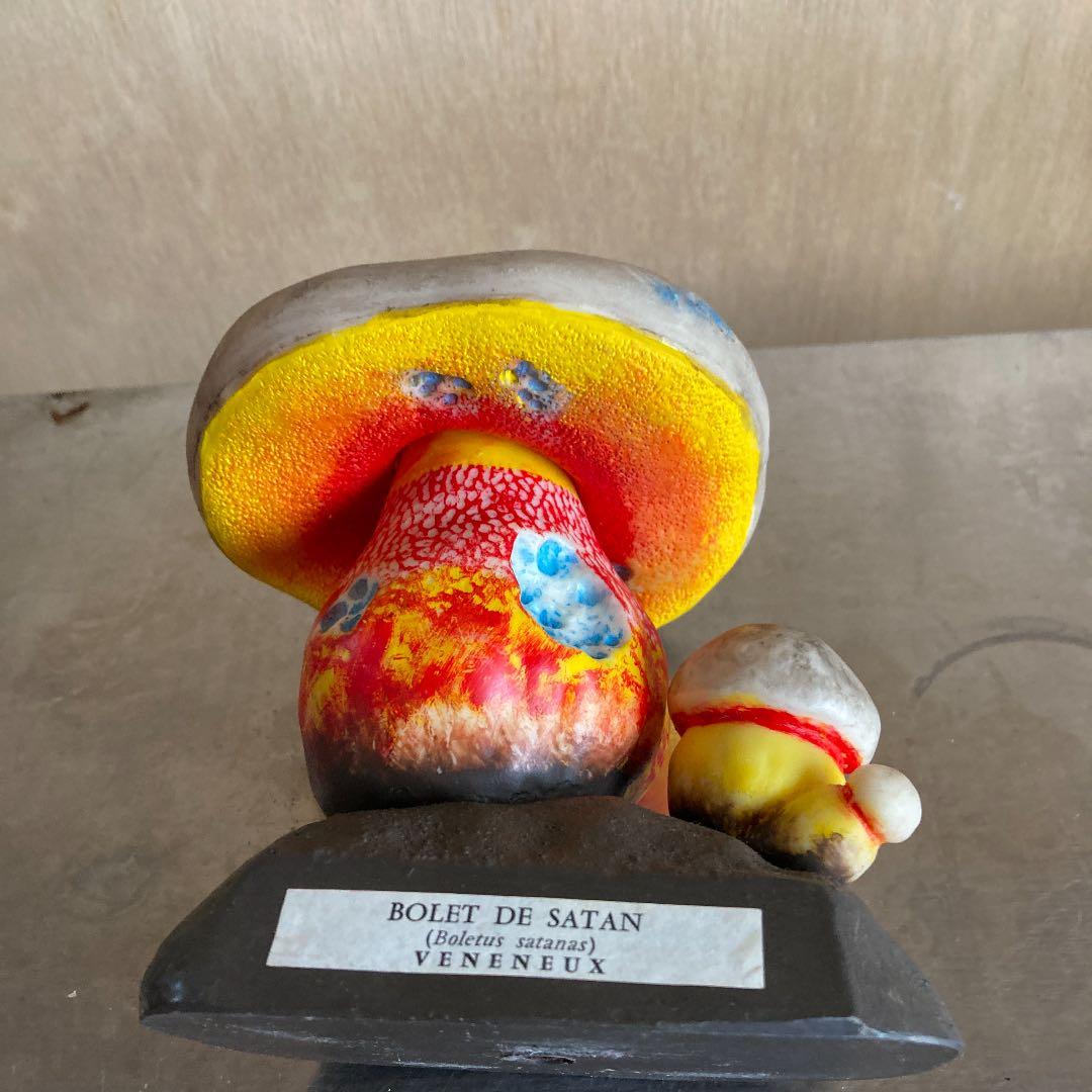 フランス　ビンテージ　毒キノコ模型　アンティーク　理科系
