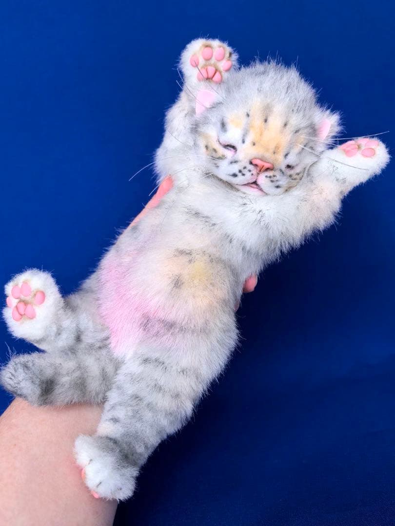 海外作家様作　アートドール　ネコの赤ちゃん