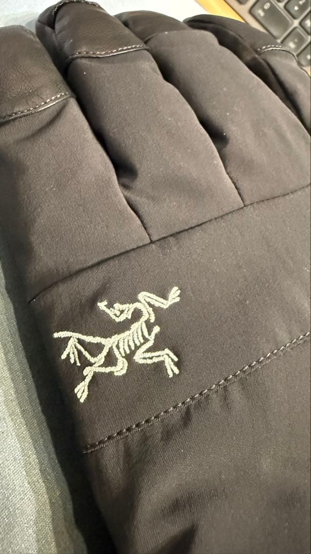 ARC’TERYX Fission Glove アークテリクス グローブ