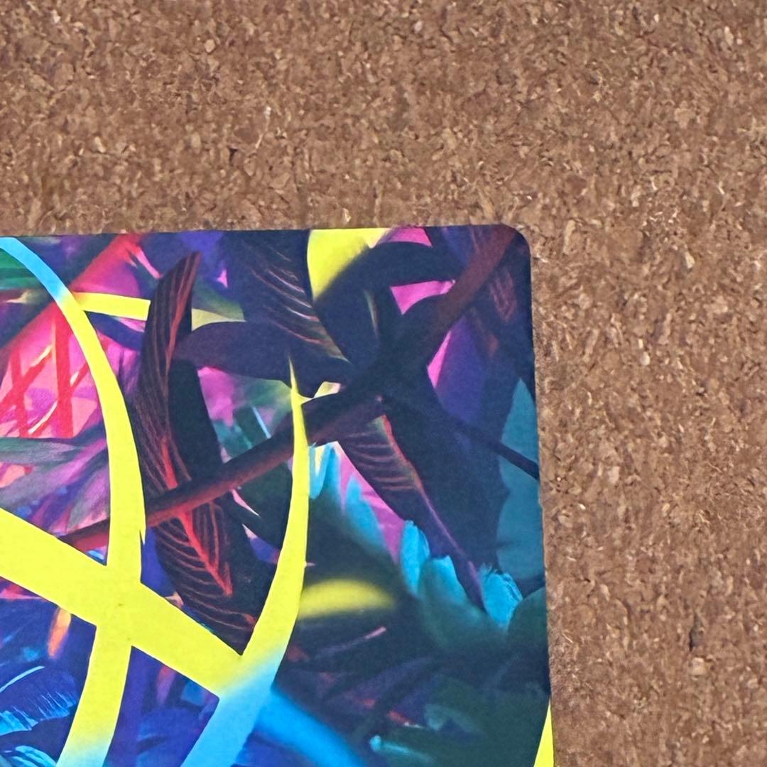 海外ポケモンカード　メガフシギバナ　プレイマット