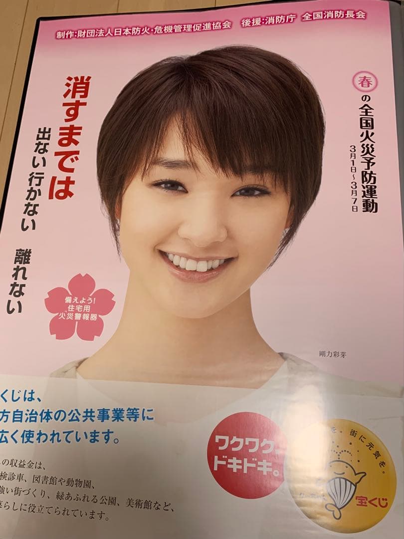 剛力彩芽さんポスター