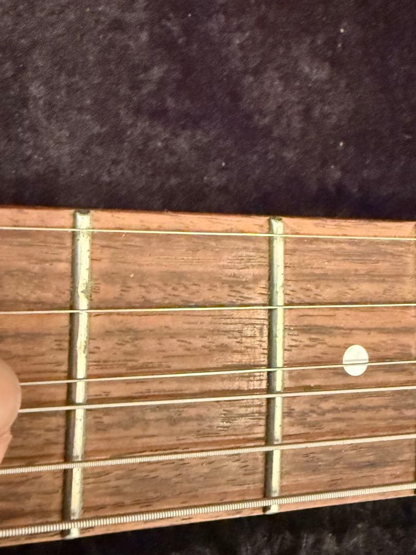 ギター FERNANDES RT-DLX JPC