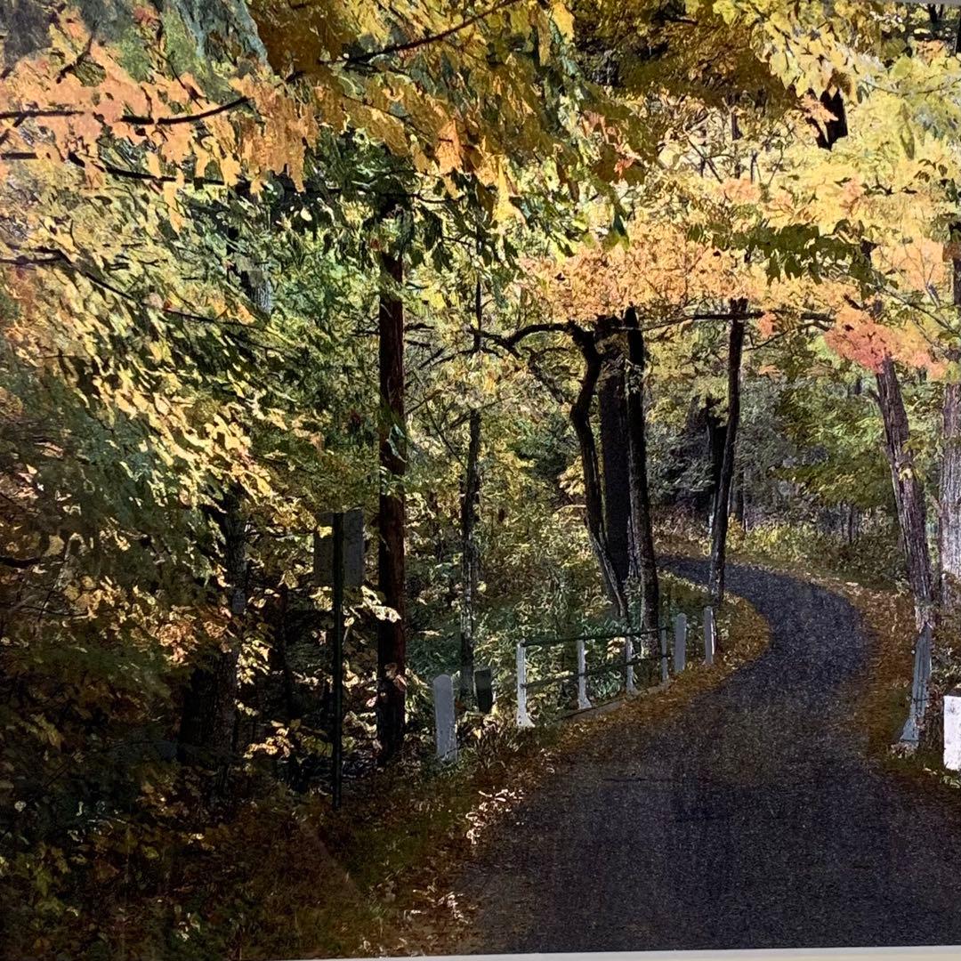 【新品・未使用】英国製 エッチングアート ヴィンテージ ホイルアート 山道