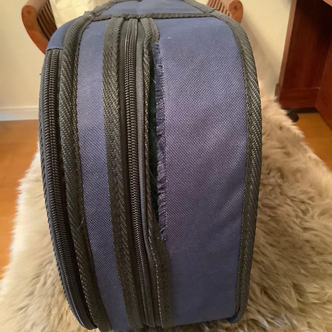 エレクトリックバイオリン　レッドGV-210B