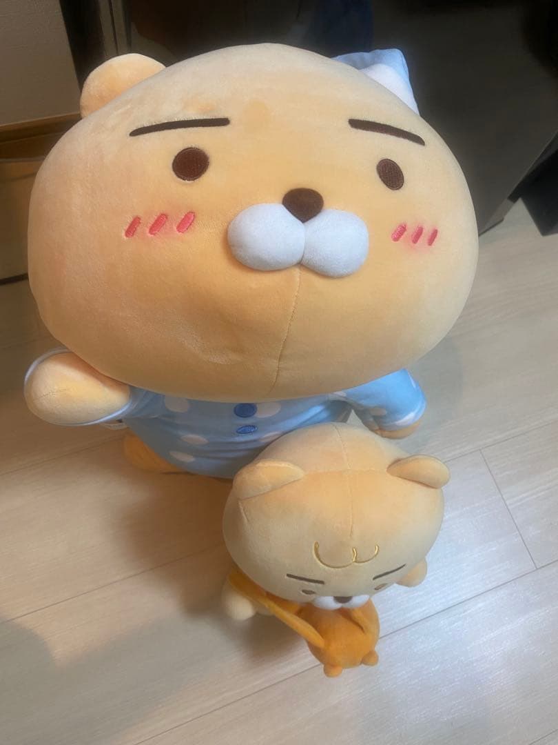 3点セット　カカオプレンズ商品まとめ、ライアン