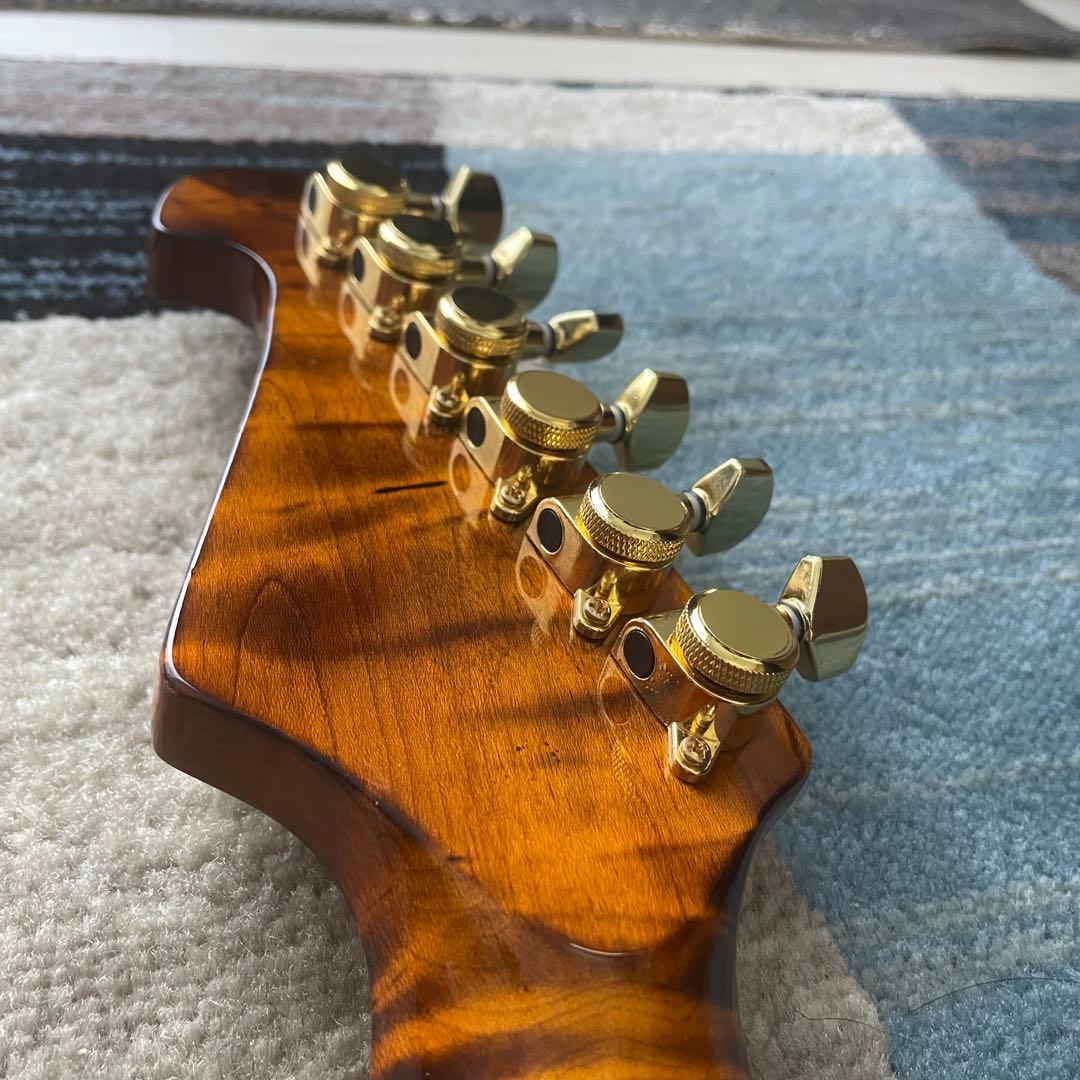 ギター Bullfighter D-190