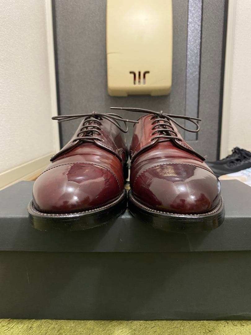 Alden / 2160 / コードバン / No.8 / 8.5D