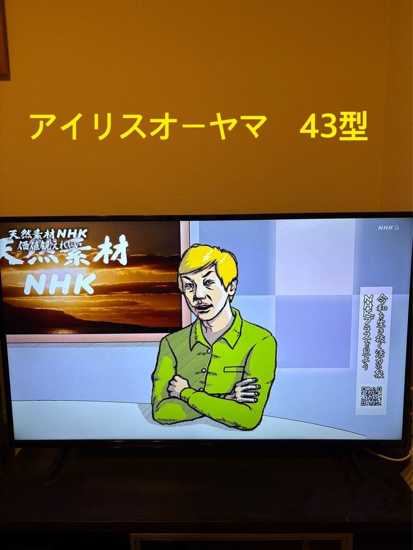 アイリスオーヤマ 43型 4K対応 液晶テレビ 43UB10P