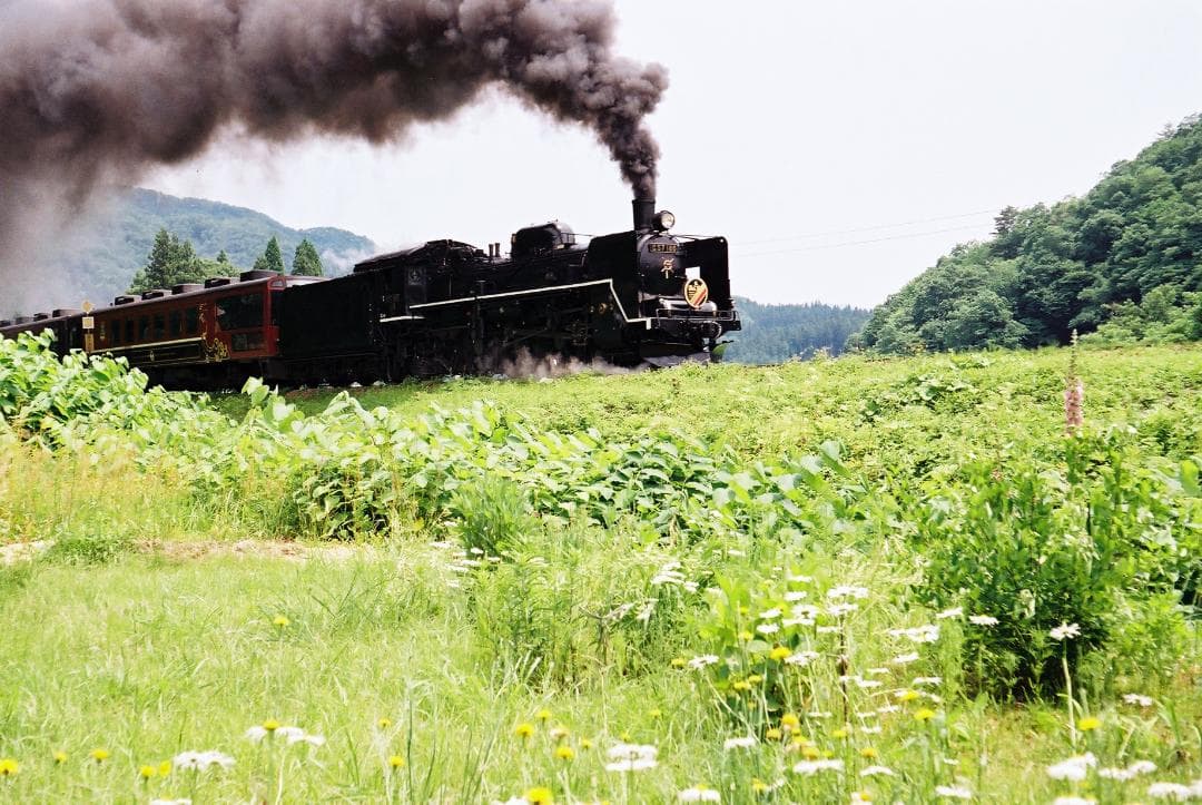 【実写確認済整備品】フォクトレンダーVITOⅡa／カラースコパー50mmf3.5