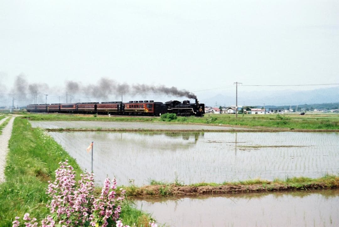 【実写確認済整備品】フォクトレンダーVITOⅡa／カラースコパー50mmf3.5