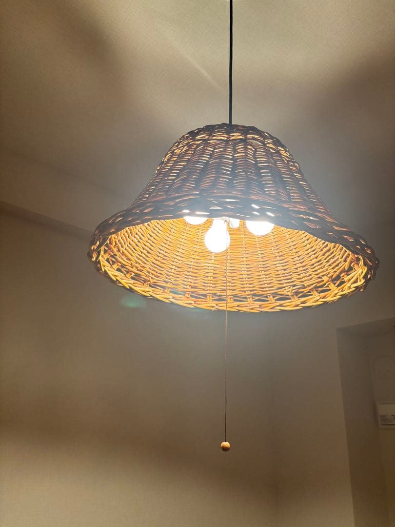 TRUCK FURNITURE トラックファニチャーPENDANT P-RT1