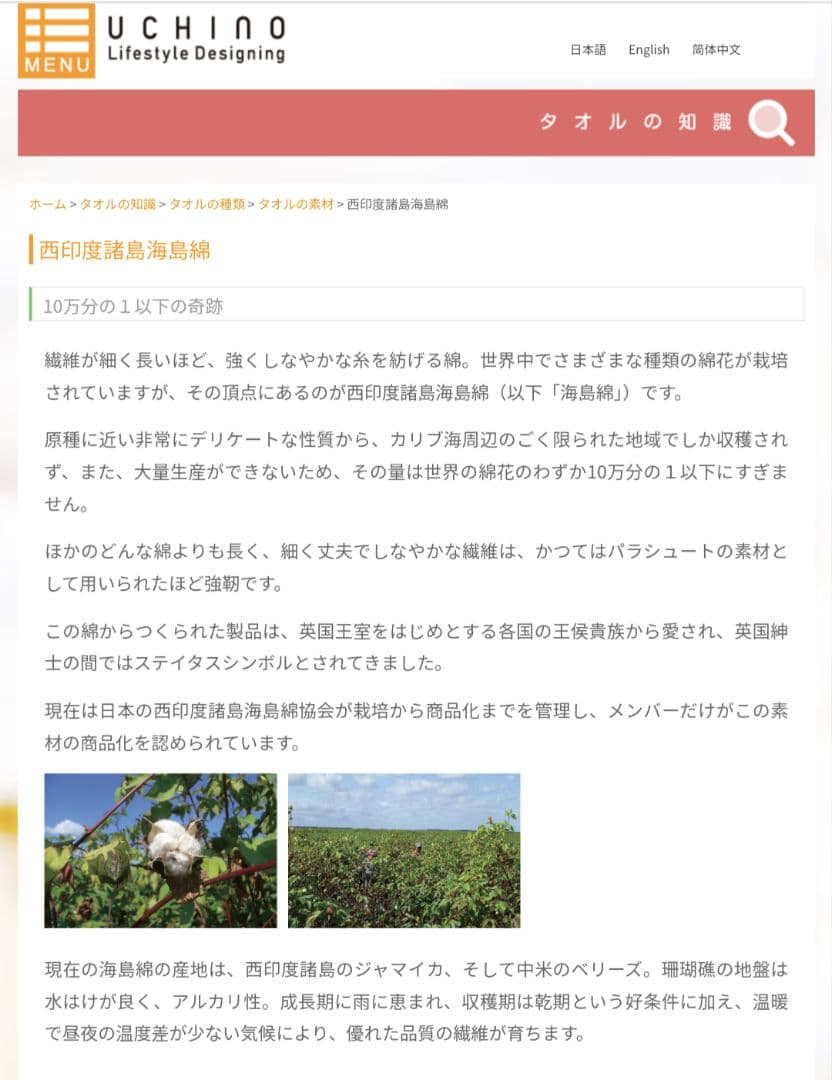 新品☆UCHINO☆最高級☆海島綿☆純金蒸着☆超高価☆豪華☆肉厚☆フェイスタオル