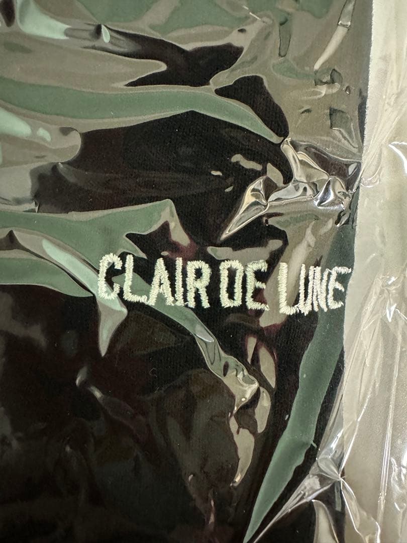 登坂広臣 CDL フーディー パーカー