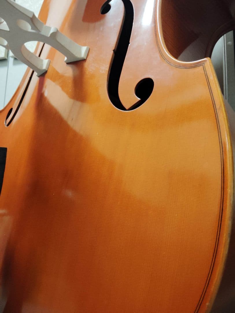 コントラバス ウッドベース スズキ ケース付 表単板 エヴァピラッツィ弦