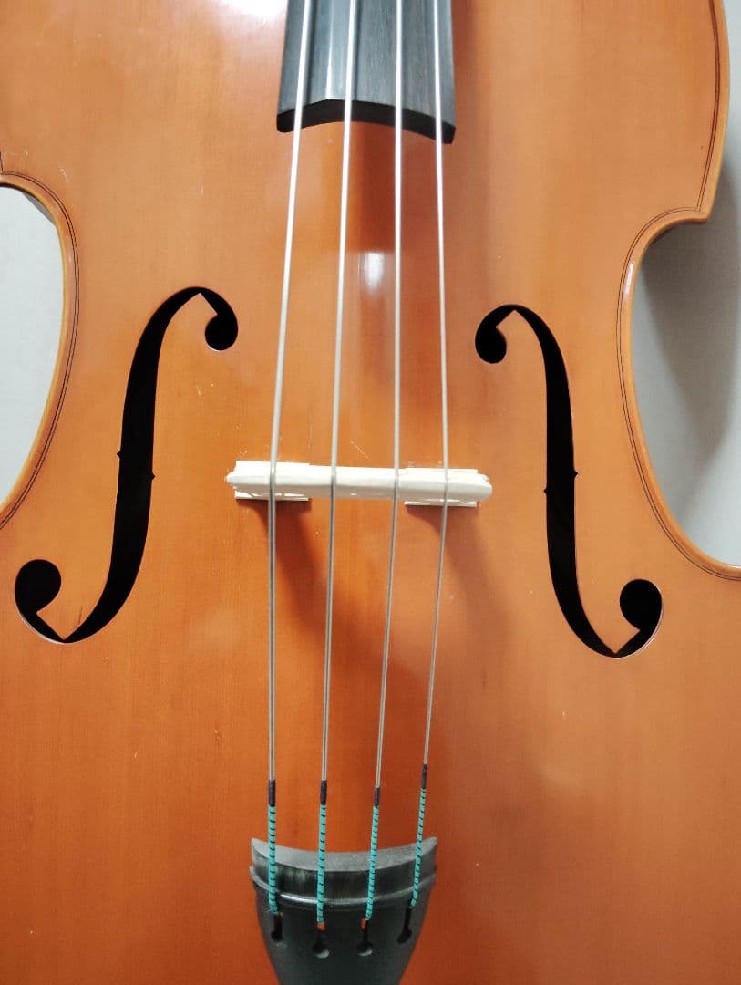 コントラバス ウッドベース スズキ ケース付 表単板 エヴァピラッツィ弦