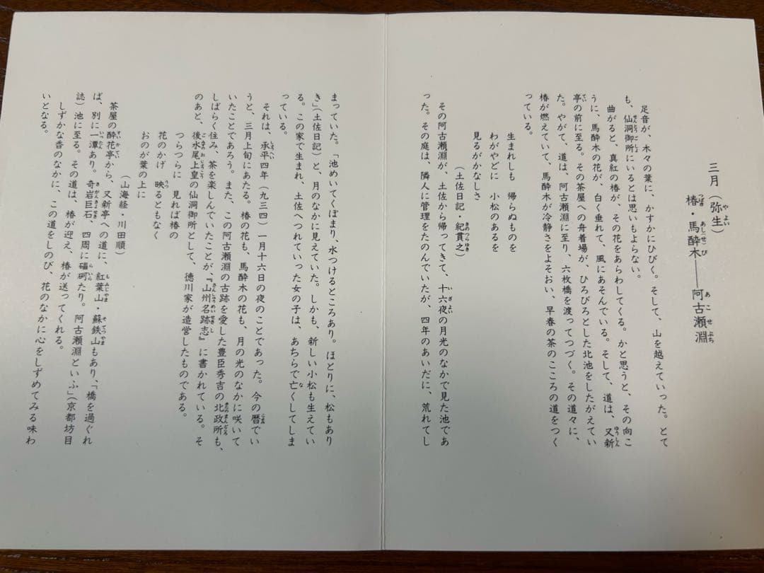 128桑野むつ子 京都御所の花十二ヶ月【3月椿・馬酔木】抹茶椀＆和陶皿 しおり付