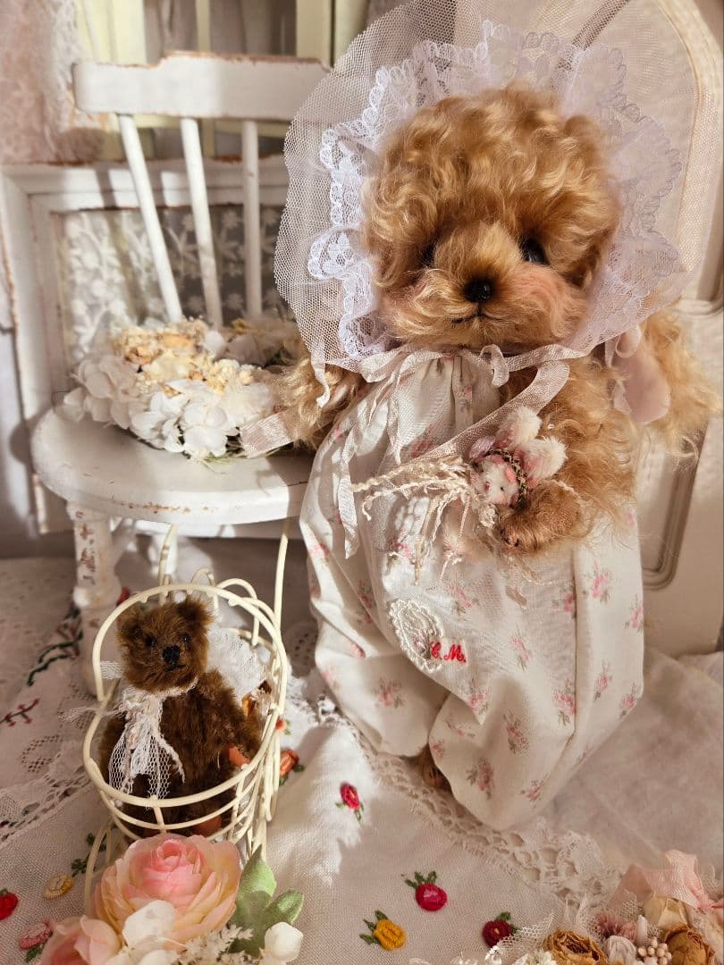 カーリーモヘアのトイプードルちゃん.*・゜特別なset₊˚⊹ ʚɞ テディベア