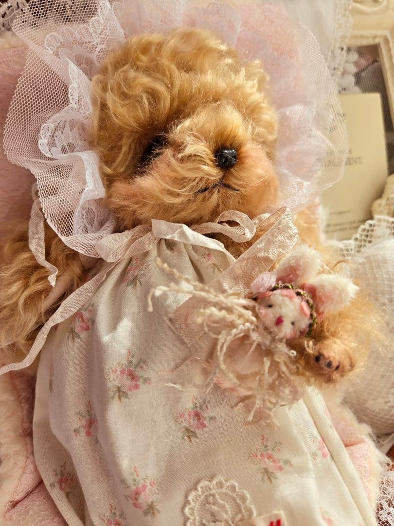 カーリーモヘアのトイプードルちゃん.*・゜特別なset₊˚⊹ ʚɞ テディベア