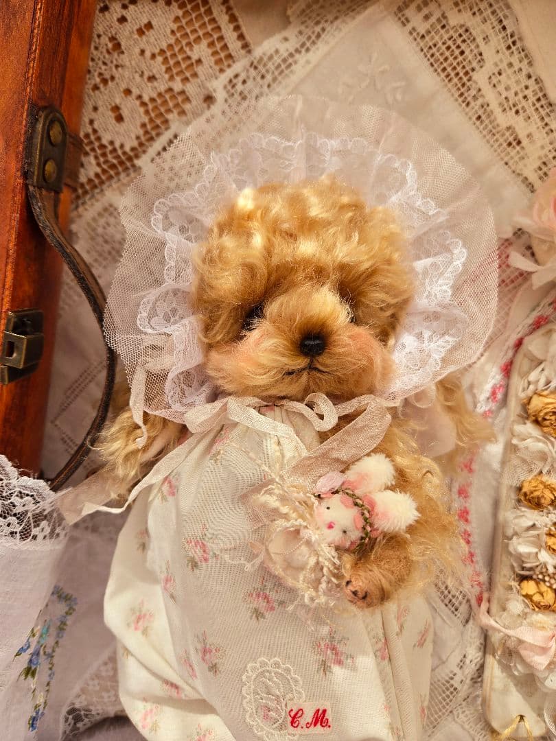 カーリーモヘアのトイプードルちゃん.*・゜特別なset₊˚⊹ ʚɞ テディベア