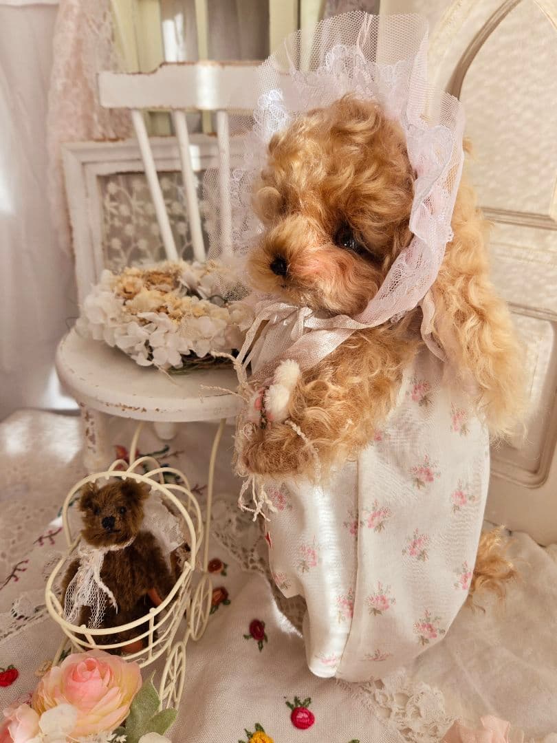 カーリーモヘアのトイプードルちゃん.*・゜特別なset₊˚⊹ ʚɞ テディベア