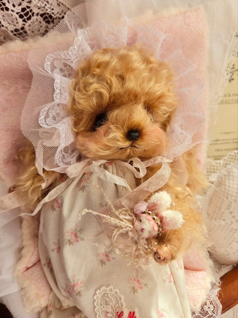 カーリーモヘアのトイプードルちゃん.*・゜特別なset₊˚⊹ ʚɞ テディベア