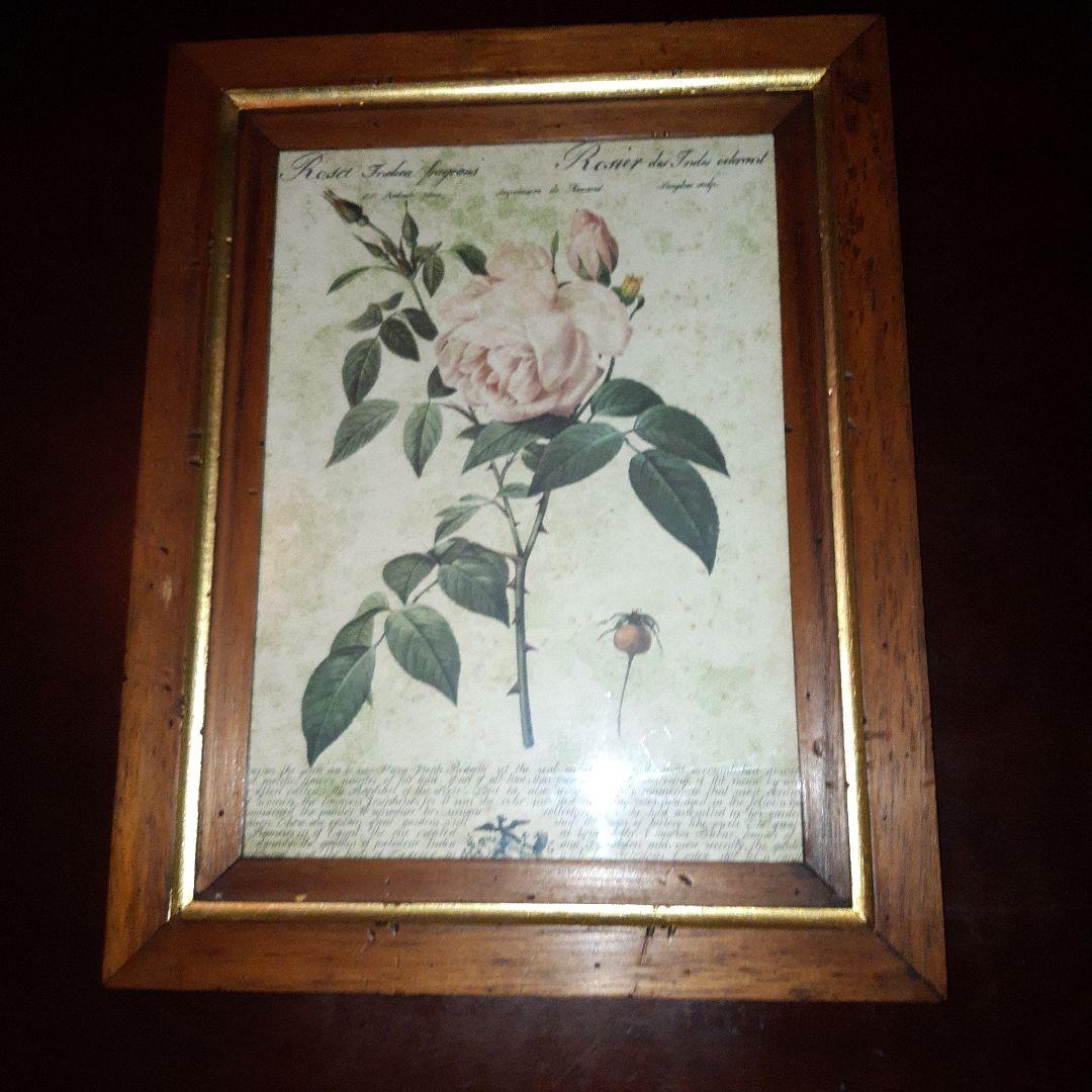 P.J.ルドゥーテ　薔薇　プリント　絵　額
