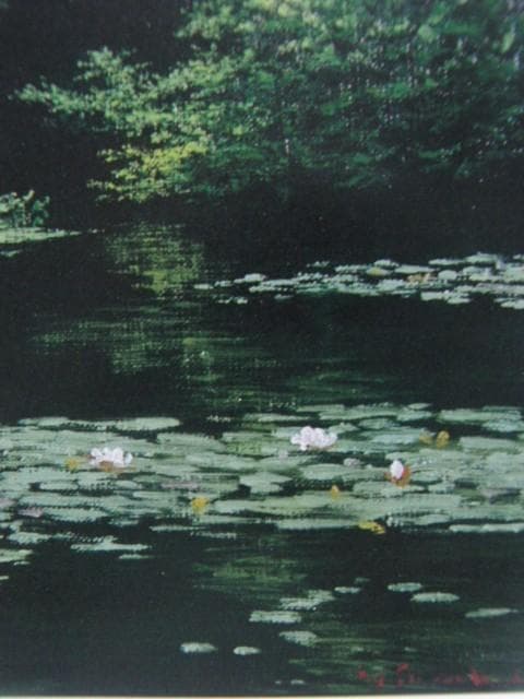 佐々木　友【睡蓮咲く】、希少画集画、状態良好、新品高級額装付