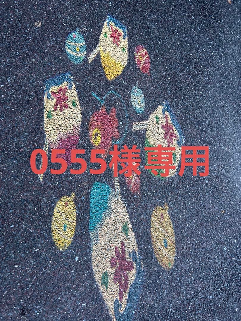 コレクション 0555