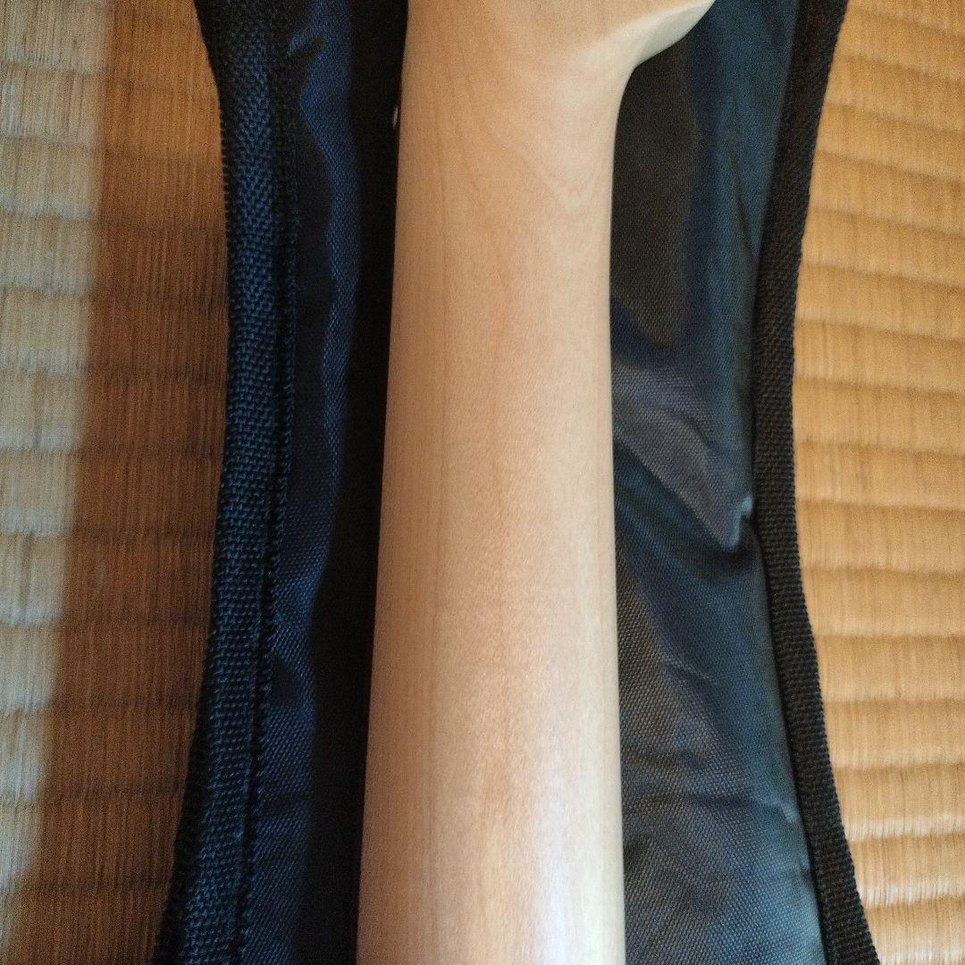 Bacchus SST-Mini DLP ミニエレキギター バッカス