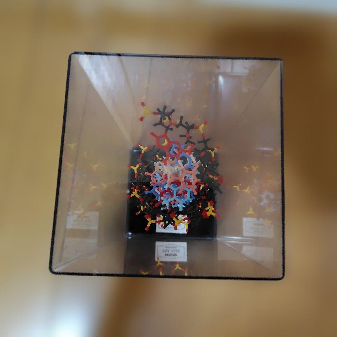 HGS DNA model MARUZEN　二重螺旋モデル　丸善