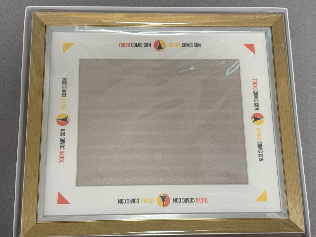 ジェイソン・モモア 直筆サイン 東京コミコン額縁付き