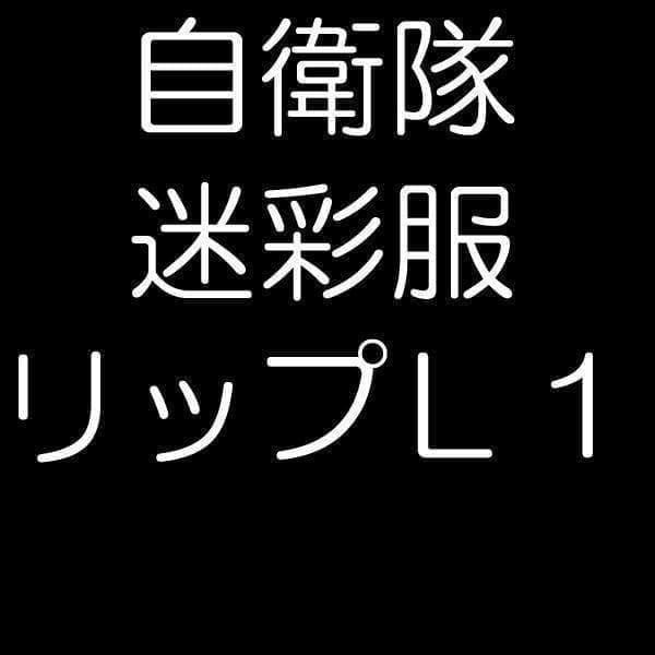 Ｌ１ 陸上自衛隊 リップストップ 迷彩服 Ｌ１