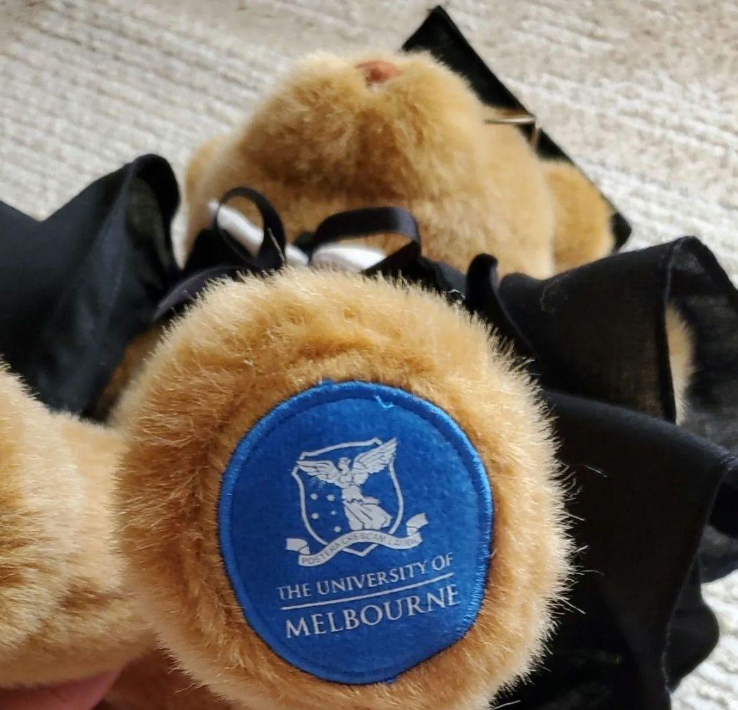 メルボルン大学　くまのぬいぐるみ