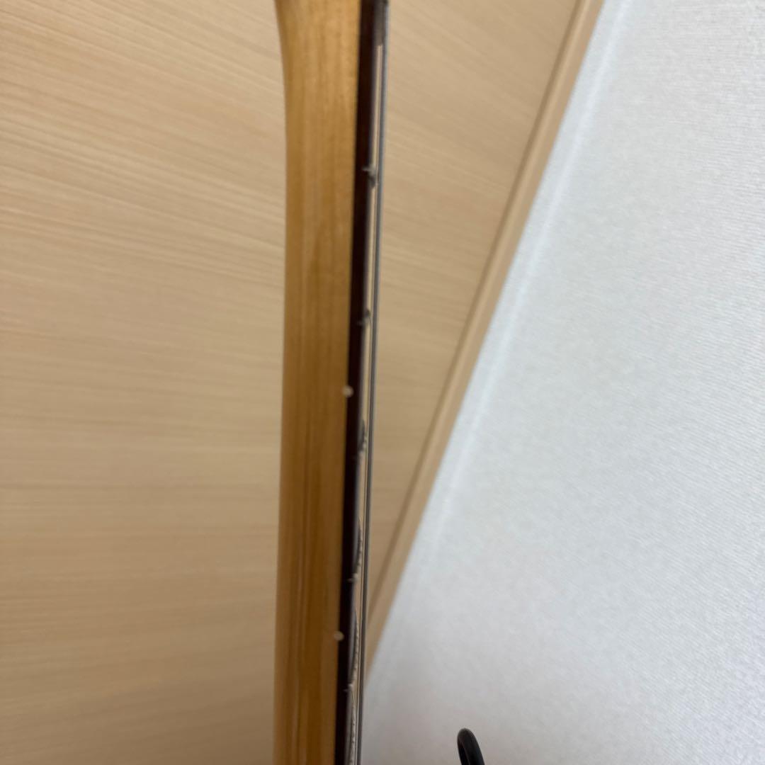 【10/19まで！】Fender MEXICO フェンダー　テレキャスター