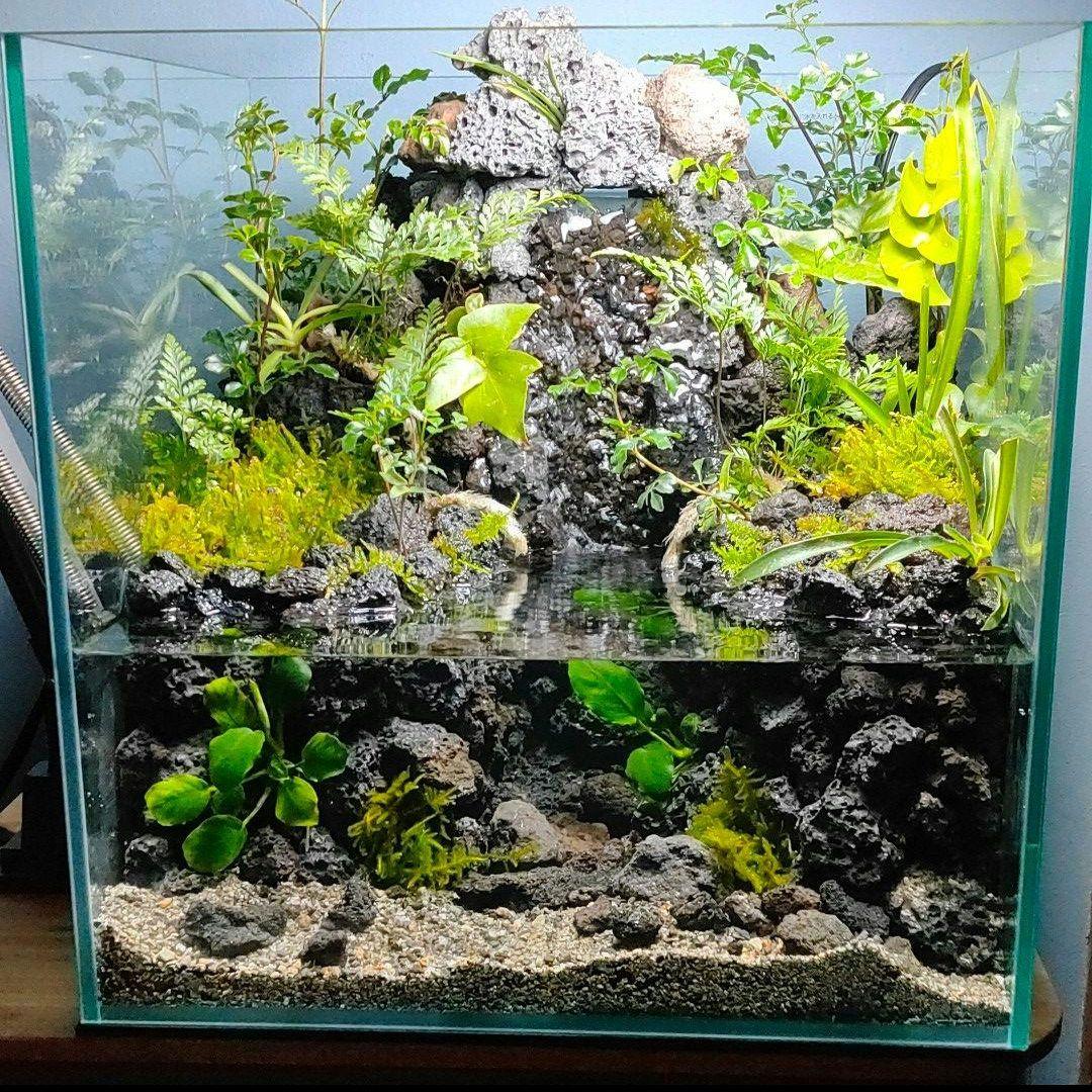 【rii】アクアテラリウム完成品_滝の流れる15cmキューブ水槽