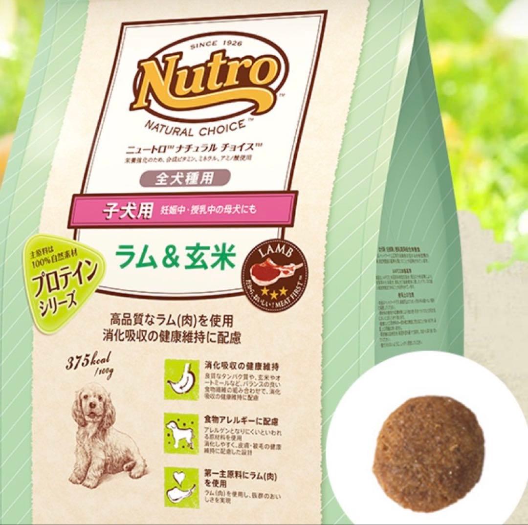 Nutro 子犬用 ドライフード ラム & 玄米 17kg