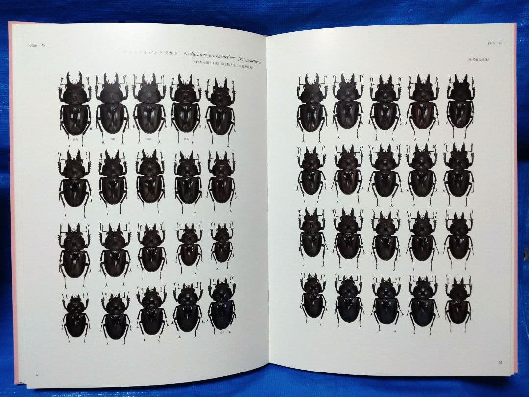 日本産クワガタムシ大図鑑　吉田賢治著　虫研