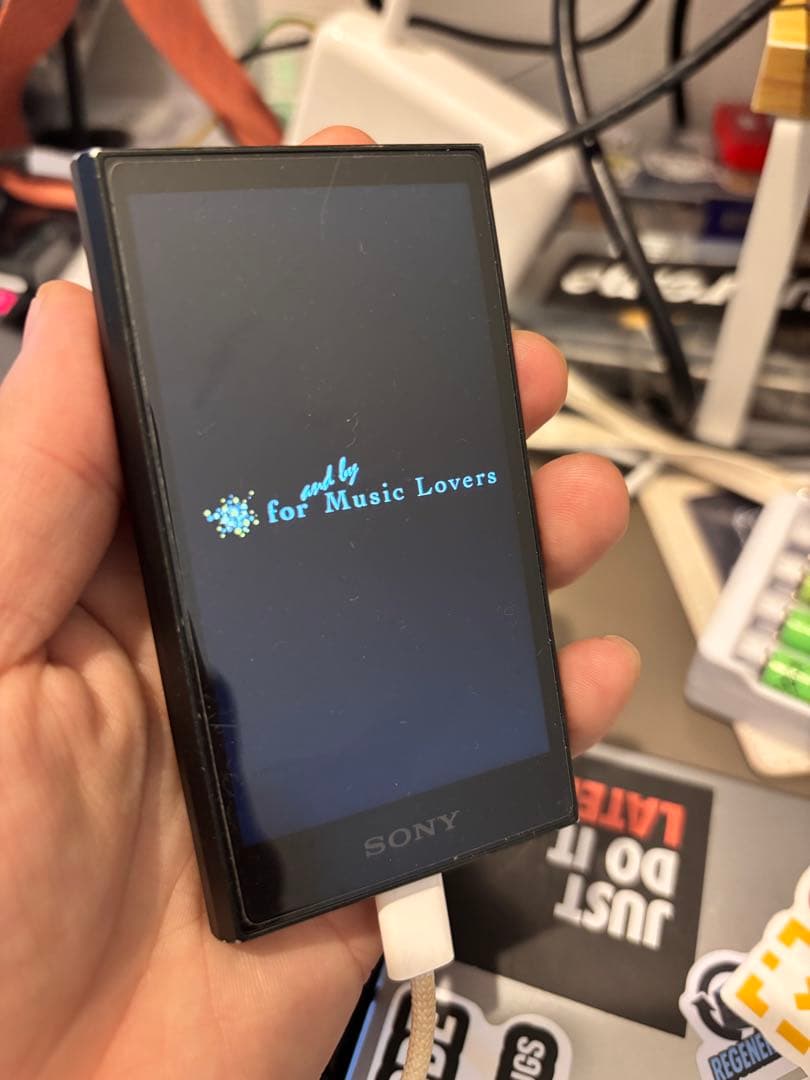 SONY Walkman NW-A306 （32GB）