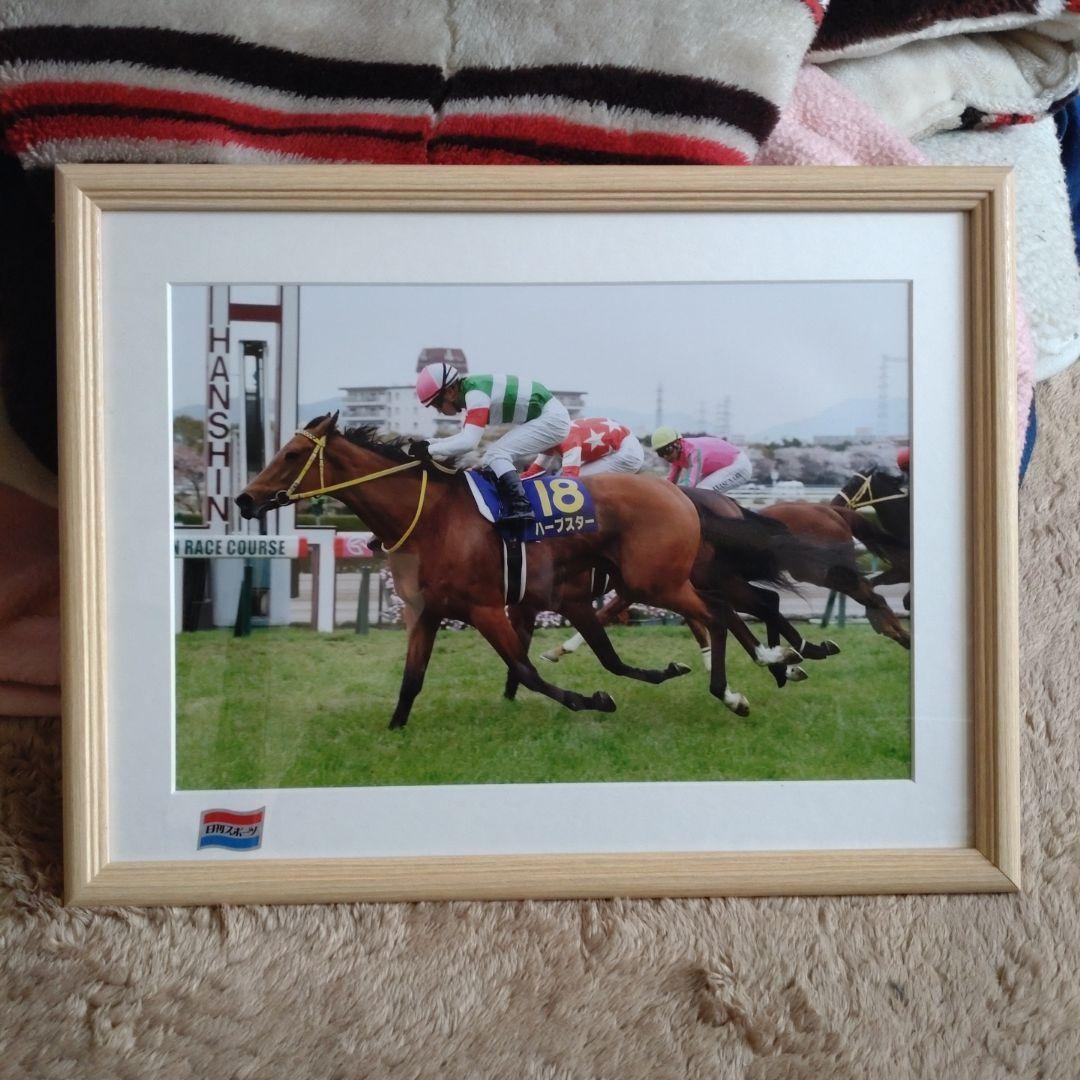 【廃盤・レア品】競馬 ハープスター 2014桜花賞