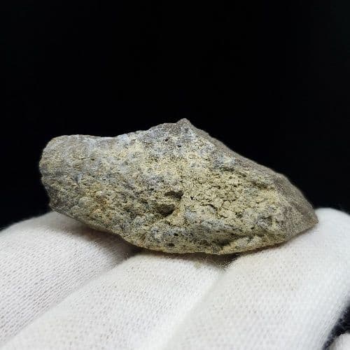 希少 ティラノサウルス 化石 骨 本物 アメリカ産 46.79mm tb105