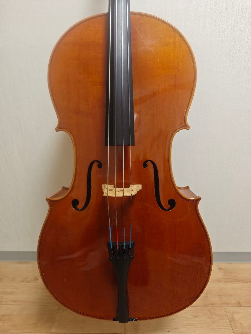 【Tm】Pygmalion Rubino 350S　チェロ