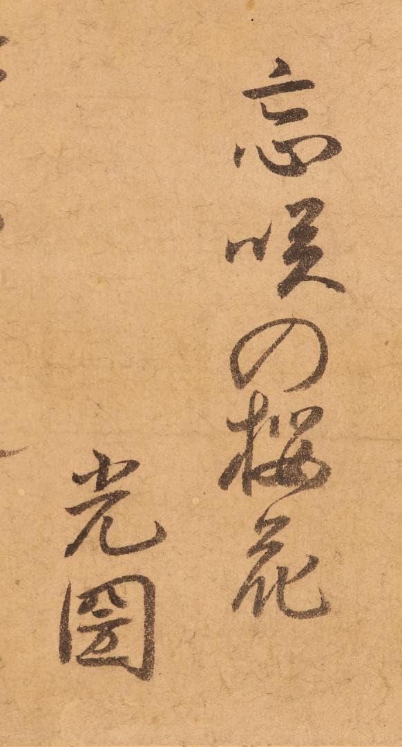 ♪新発見♪◆『徳川光圀』和歌「忘咲の桜花」掛軸 三つ葉葵紋 水戸光圀 水戸黄門◆