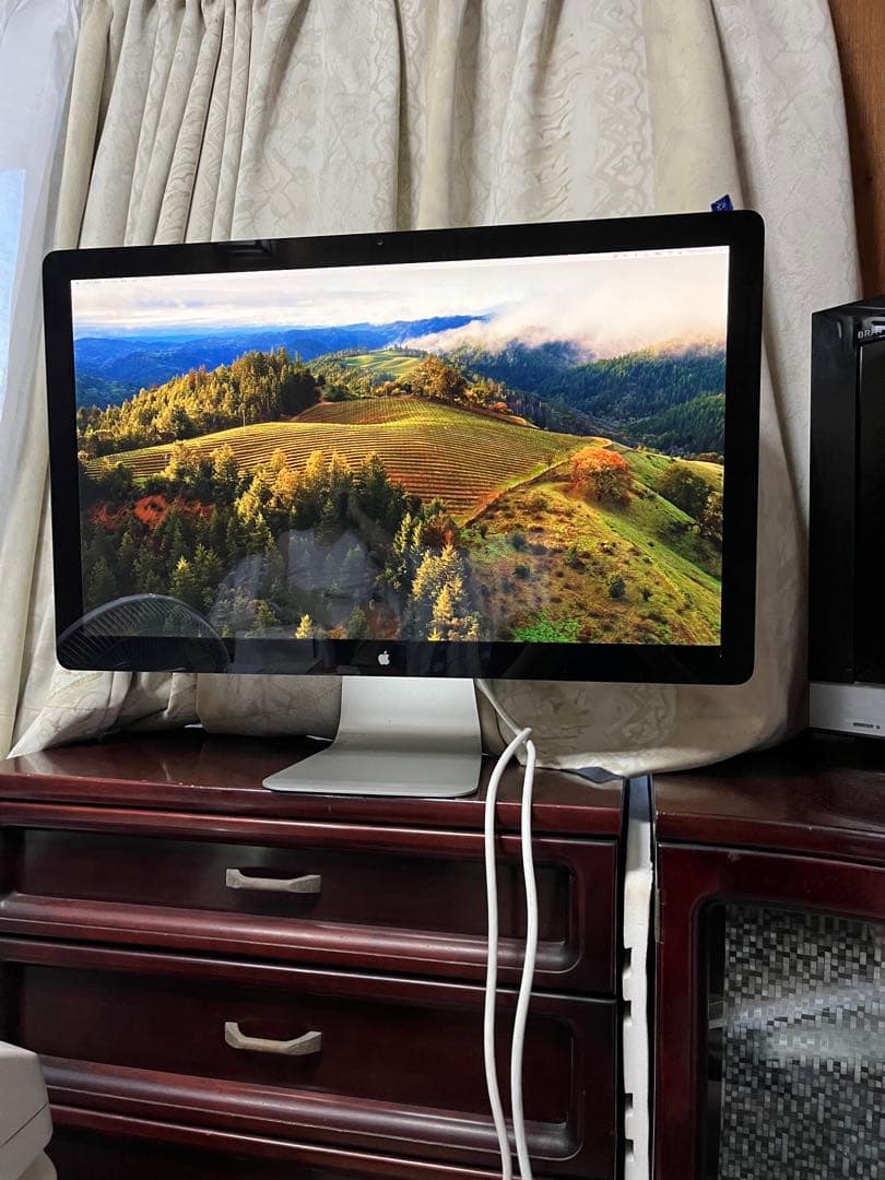 【⭐️動作確認済⭐️】Apple Thunderbolt Display 27インチ