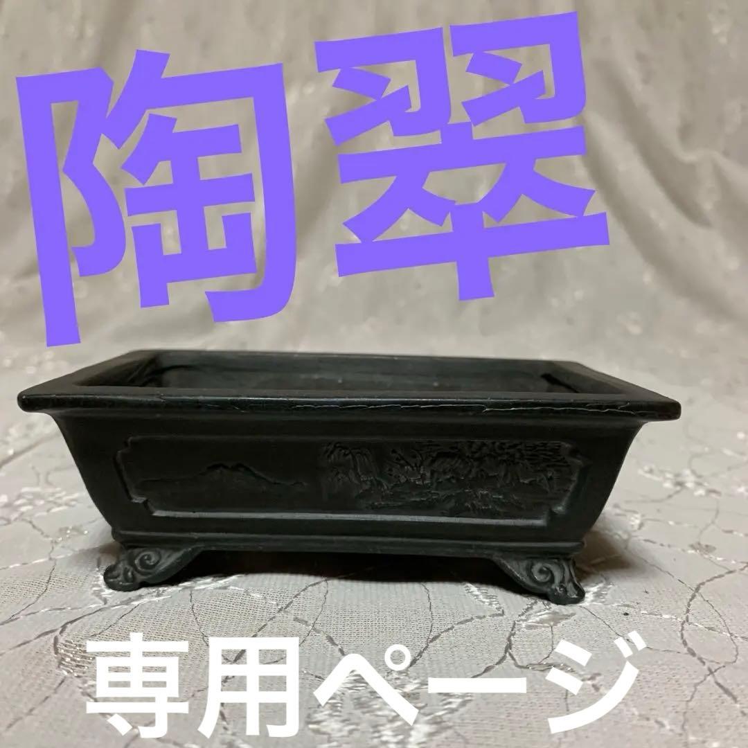 陶翠　90    盆栽鉢　長方
