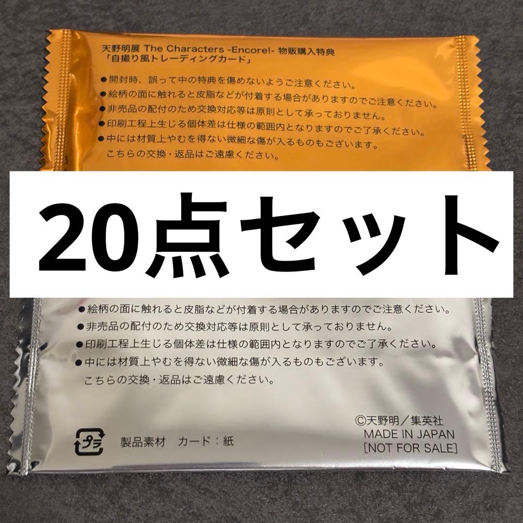 【未開封】自撮り風トレーディングカード　家庭教師ヒットマンREBORN 天野明展